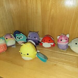 Squishmallows Littles Bundle of 10